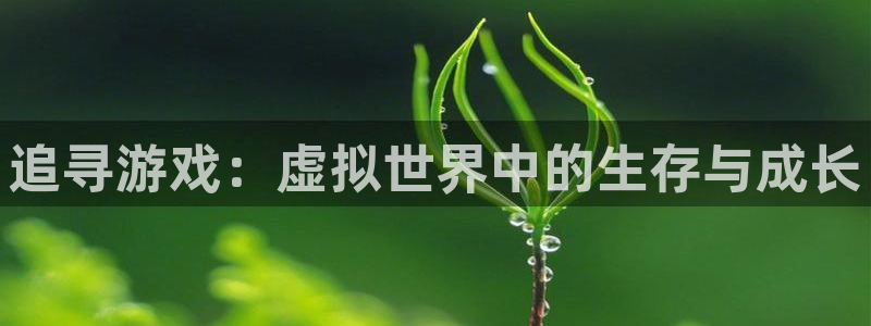 乐玩科技：追寻游戏：虚拟世界中的生存与成长