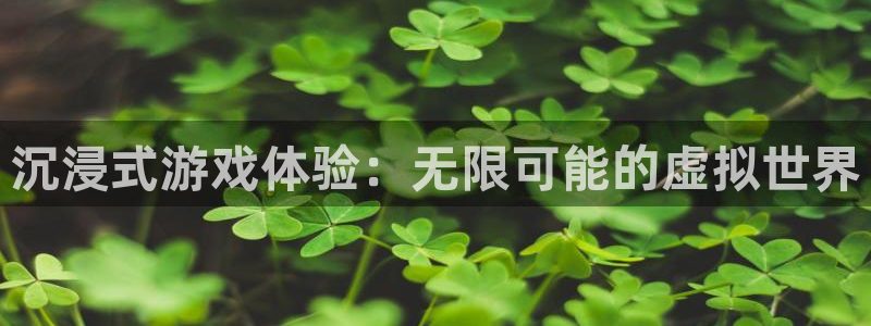 乐玩是什么平台软件