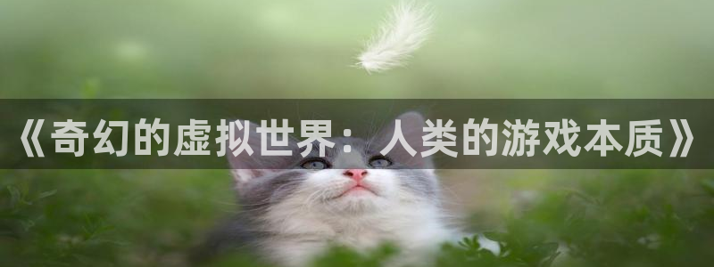 乐玩国际app最新版本更新内容