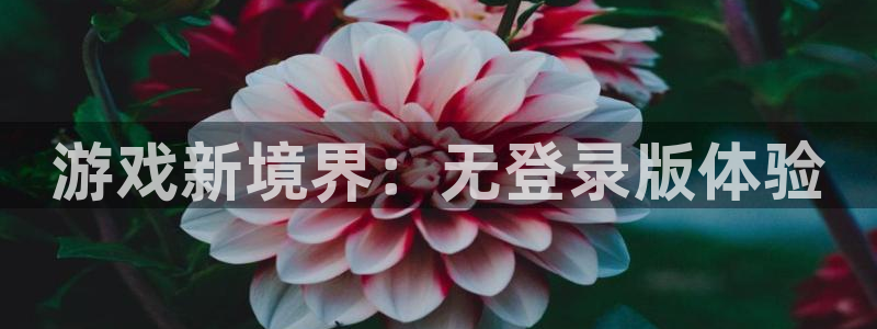 乐玩app官网下载苹果：游戏新境界：无登录版体验