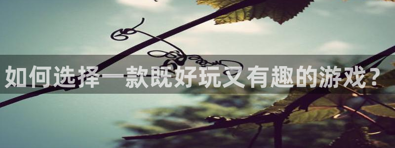 乐玩玩手游盒子苹果版